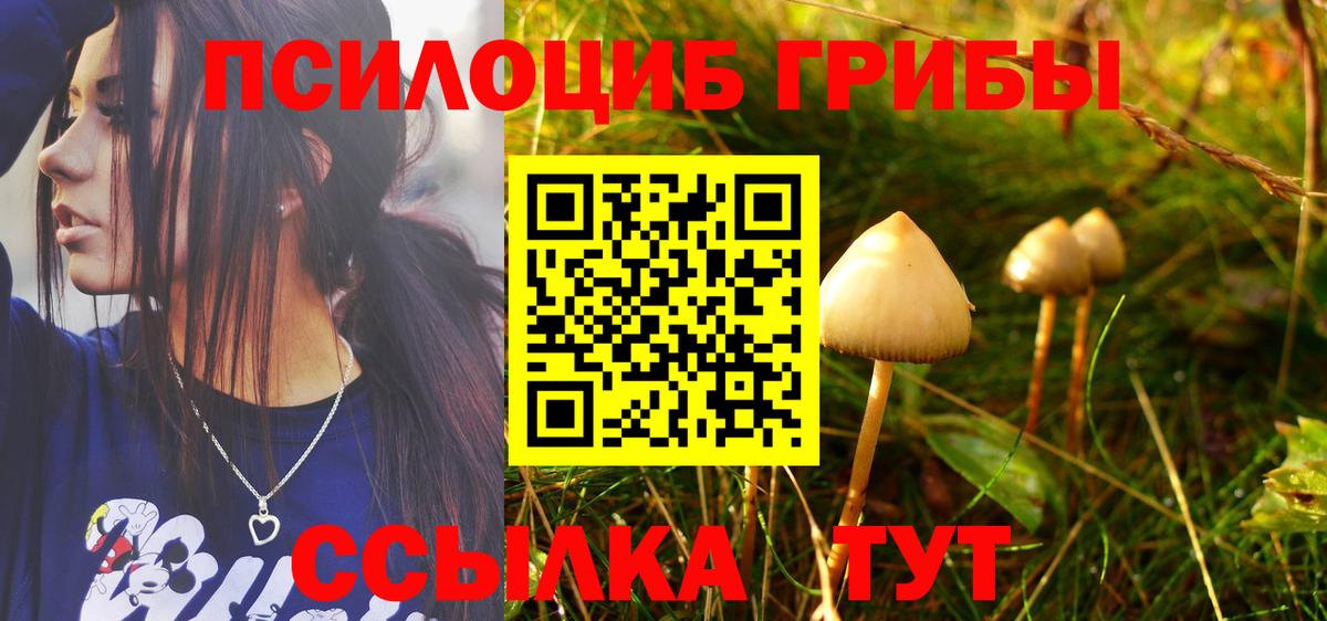 Псилоцибиновые грибы мицелий Алексин
